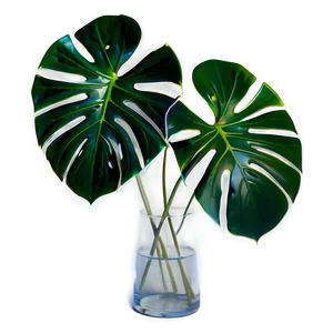 Variegated Monstera Plant PNG Hqr PNG