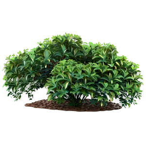 Variegated Shrubs Png Tpc51 PNG image