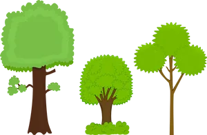 Varietyof Cartoon Trees Illustration PNG image