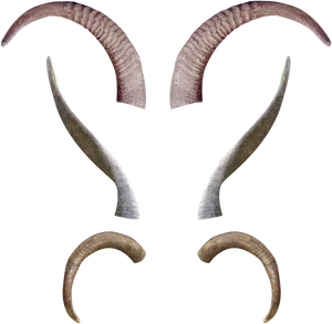 Varietyof Goat Horns PNG