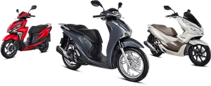 Varietyof Honda Scooters PNG image