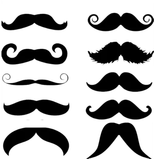 Varietyof Mustache Styles Illustration
