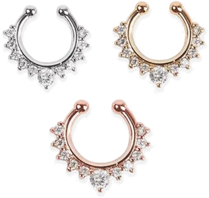 Varietyof Nose Rings Designs PNG image