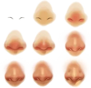 Varietyof Noses Illustration PNG image