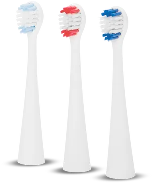 Varietyof Toothbrush Heads PNG image