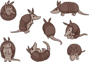 Various Armadillo Poses Cartoon Style PNG image