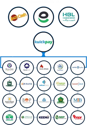 Various Payment Options Graphic PNG image