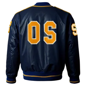 Varsity Bomber Jacket Collegiate Png Pvf PNG image