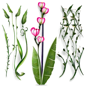 Vector Flower Stem PNG Orj12 PNG
