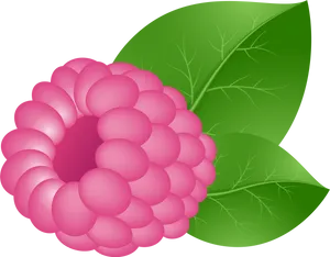 Vector Illustrationof Raspberry PNG image