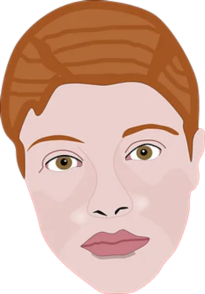 Vector Illustrationof Woman Face
