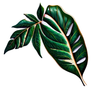 Vector Leaves PNG Ibj49