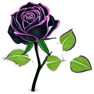 Vector Rose Silhouette PNG 06292024