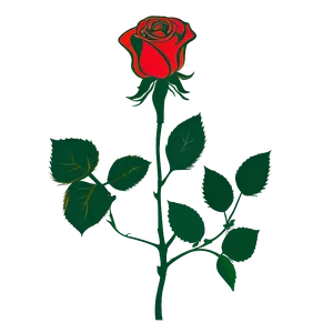 Vector Rose Silhouette PNG Odr