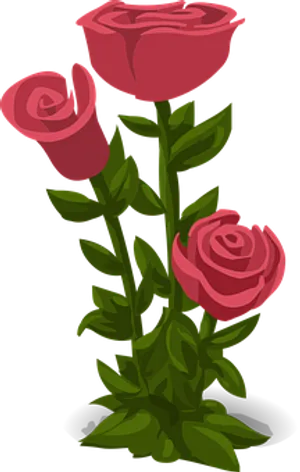 Vector Trioof Pink Roses PNG