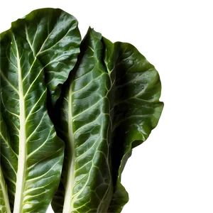 Vegan Collard Greens PNG Sfq40 PNG