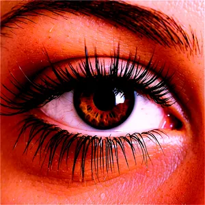 Vegan Eyelash Collection PNG Yfo PNG