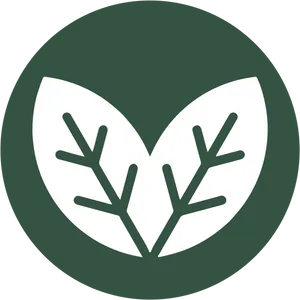 Vegan Symbol Green Background PNG image