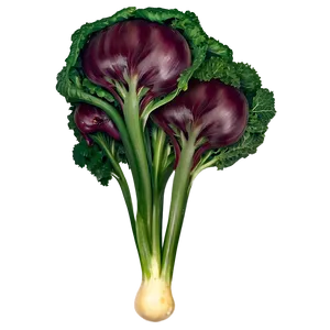 Vegetable Shape Png Fpv PNG image