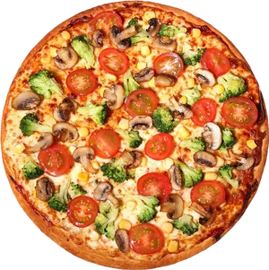 Vegetable Topped Pizza Delicious PNG image