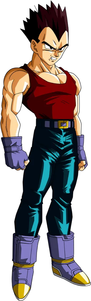 Vegetain Casual Clothes Dragon Ball Z PNG image