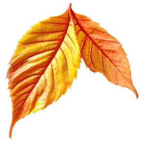 Veined Fall Leaf Png 44 PNG image