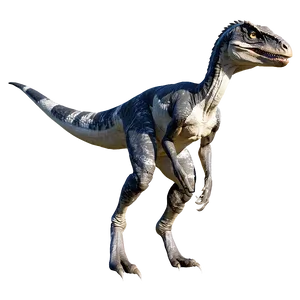 Velociraptor Environmental Adaptation PNG Vud84