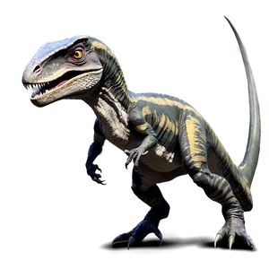 Velociraptor Evolution Theory PNG Qxm47