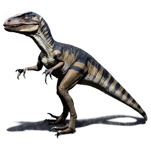 Velociraptor Social Behavior PNG 1