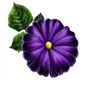 Velvet Purple Flower PNG Hco PNG