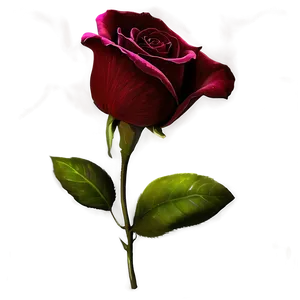 Velvet Rose Petals Png Uqo35 PNG image