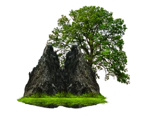 Verdant Rock Island PNG