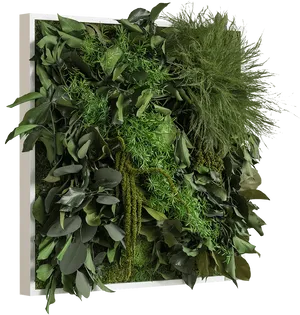 Vertical Garden Display.jpg PNG image