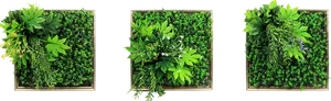 Vertical Garden Frames Triptych PNG