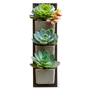 Vertical Succulent Garden PNG Nyf79 PNG