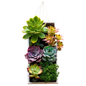 Vertical Succulent Garden PNG Ove66 PNG