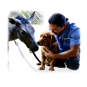 Vet Home Visit Png Adb PNG image