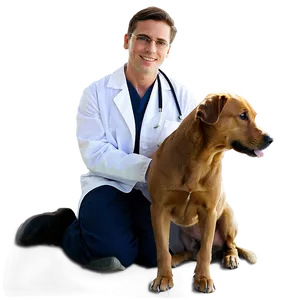 Veterinarian D PNG image