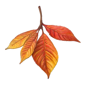 Vibrant Auburn Leaves Png 33 PNG image