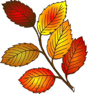 Vibrant Autumn Leaves Illustration PNG