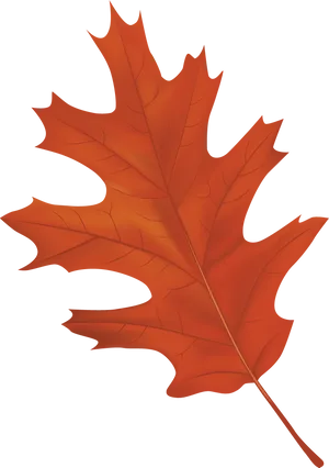 Vibrant Autumn Maple Leaf PNG image