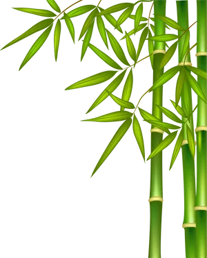 Vibrant Bamboo Stalks PNG image