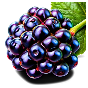 Vibrant Blackberry PNG 58