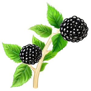 Vibrant Blackberry PNG Gtr