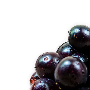 Vibrant Blackberry PNG Nbs