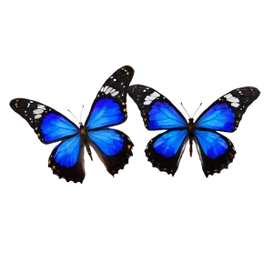 Vibrant Blue Butterflies Png 06132024 PNG image