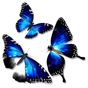 Vibrant Blue Butterflies Png 43 PNG image