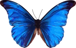 Vibrant Blue Butterfly Art