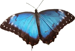 Vibrant Blue Butterfly Art PNG image