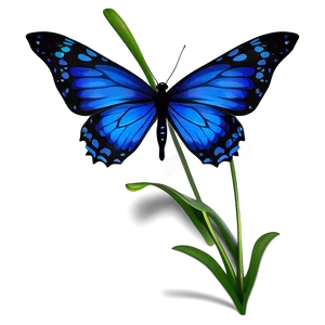 Vibrant Blue Butterfly Graphic PNG 05212024